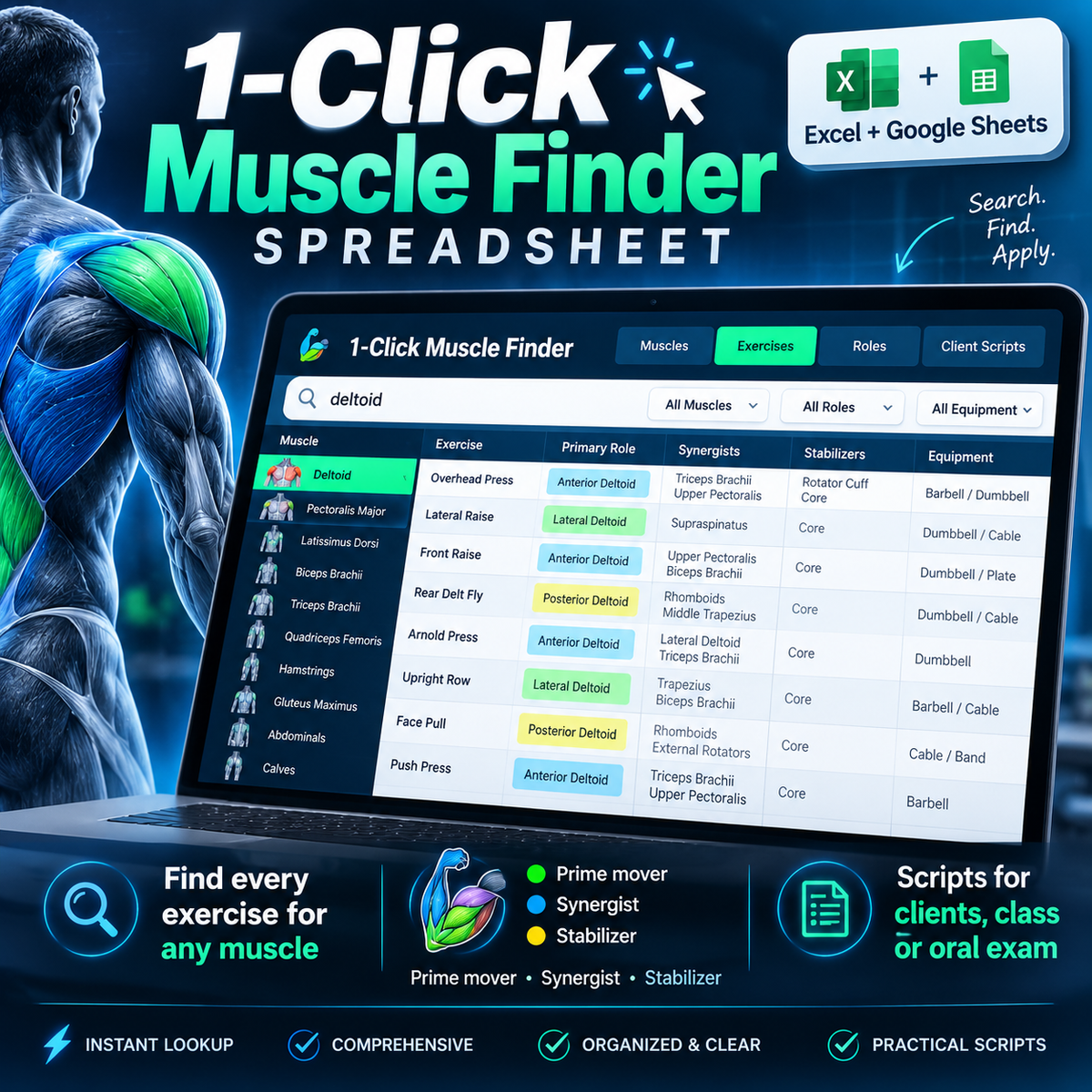 1-Click Muscle Finder Spreadsheet 🔎📊