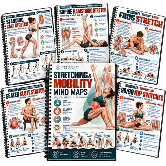 60 Stretching & Mobility Mind Maps 🤸‍♀️